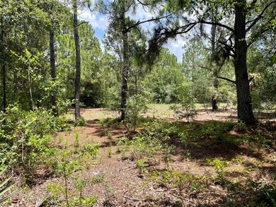 27282 Treadmill Dr, Punta Gorda, FL 33955 - photo 3