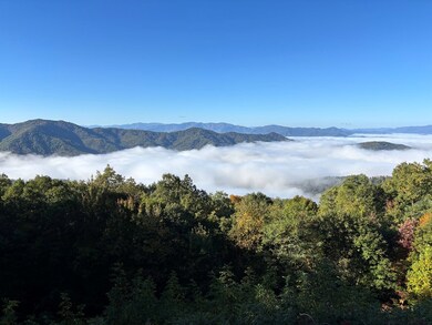 1855 Eagles Roost Rd, Bryson City, NC 28713 - photo 7