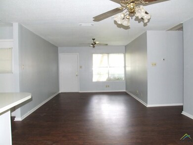 3907 Driftwood Ln, Tyler, TX 75701 - photo 3