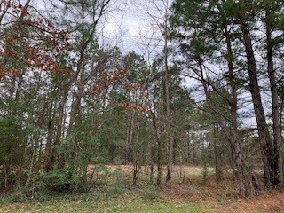 TBD Farm To Market 225, Nacogdoches, TX 75964 - photo 6