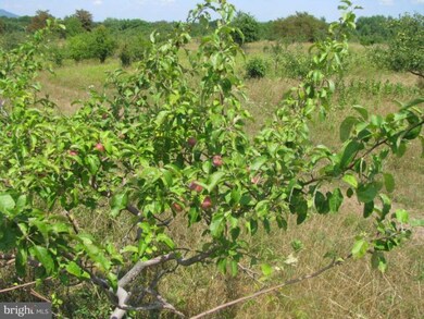 0 A Orchard Point unit 1004622112, Levels, WV 25431 - photo 6