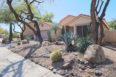 Low Maintenance Landscaping