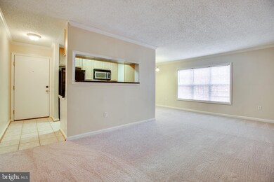 15508 Horseshoe Ln unit 508, Woodbridge, VA 22191 - photo 3
