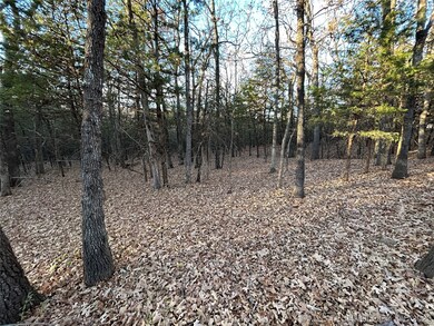 2727 W Lakeshore, Cleveland, OK 74020 - photo 3