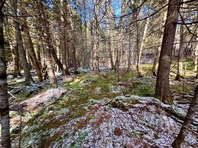 663 Ferguson Rd, Barnet, VT 05821 - photo 7