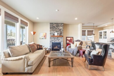 Gas Fireplace insert with stone surround
