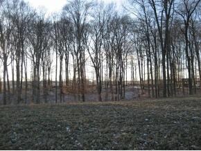 0 Haskamp Rd, Oldenburg, IN 47036 - photo 6