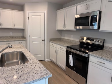 3019 Hallsdale Dr, Elgin, SC 29045 - photo 7