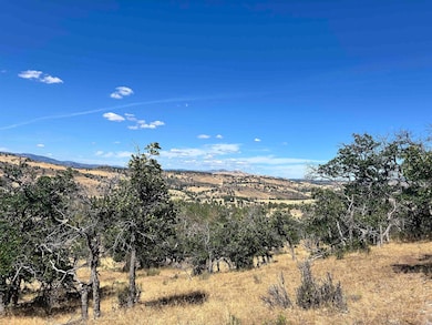 Unit 5 Lot #103 Greenfinch Way unit 5, Hornbrook, CA 96064 - photo 7