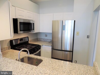 4733 Bradley Blvd unit 5, Chevy Chase, MD 20815 - photo 5