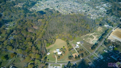 25547 Juban Rd, Denham Springs, LA 70726 - photo 5