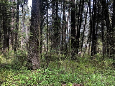 4 Roberts Loop unit 22, Cascade, ID 83611 - photo 2