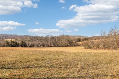 8005 Palmore Hollow Pvt Ln, Nolensville, TN 37135 - photo 2