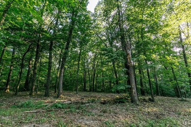 Lot 5 Ph 2 Misty River Subdivision, Nixa, MO 65714 - photo 2