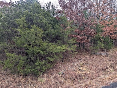 TBD Starlite Ave, Holiday Island, AR 72631 - photo 4