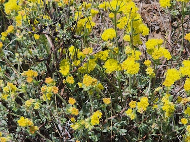 0 SE Walnut Ln unit 194 220203031, Prineville, OR 97754 - photo 7