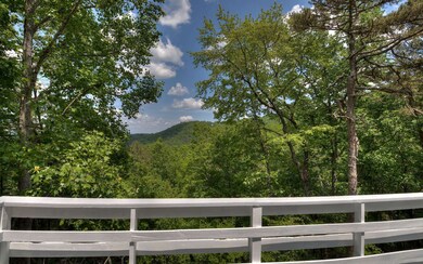 Additional View