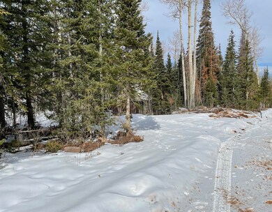 IMG_6475