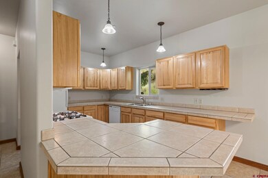 457 Animas View Dr unit 23, Durango, CO 81301 - photo 6