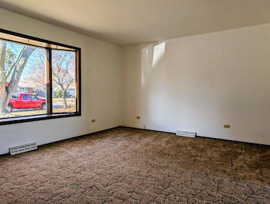 unlisted-address, Coal City, IL 60416 - photo 4