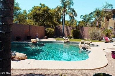 LUSH BACKYARD