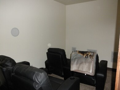 Mans Cave (Theater Room)