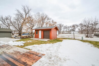 Back Yard / Shed