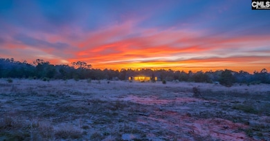 0 Athens Field Rd unit 622827, Swansea, SC 29160 - photo 4
