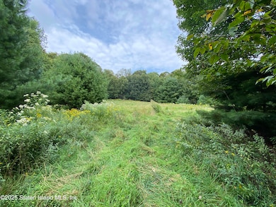 2340 Sands Creek Rd, Hancock, NY 13783 - photo 3