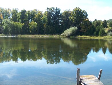 View from the shoreline