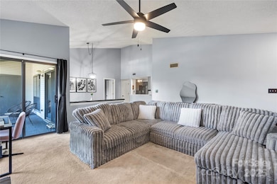 5870 Harris Grove Ln, Charlotte, NC 28212 - photo 6