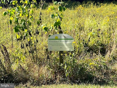 Lot 4A Steamboat Run Rd, Shepherdstown, WV 25443 - photo 7