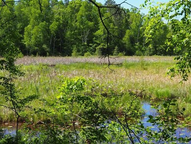 XXX Minerva Dam Rd, Danbury, WI 54830 - photo 3