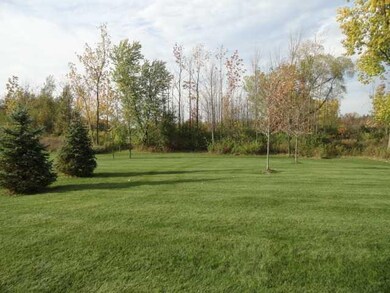 Yard/Garden Stop CUTTING your lawn and start ENJOY