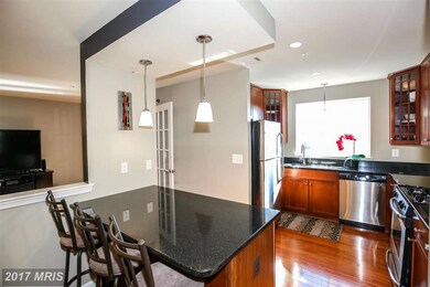 4111 S Four Mile Run Dr unit 402, Arlington, VA 22204 - photo 5