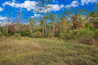 Shadywood Dr, Trinity, TX 75862 - photo 7