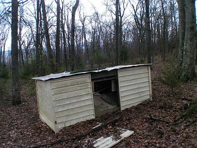 12590 Green Rd, West Fork, AR 72774 - photo 7