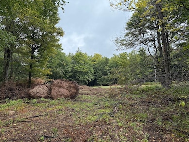 0 Alma Hill Rd unit LotWP001 24749380, Alma, NY 14895 - photo 3