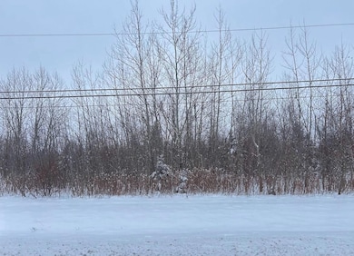 Vacant Lot W 167th St, Homer Glen, IL 60441 - photo 7