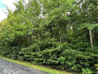 201 Bennett Farm Rd, Asheboro, NC 27205 - photo 2