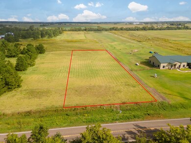 Lot 7