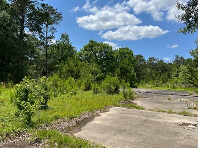 28207 Ascot Farms Rd, Magnolia, TX 77354 - photo 4