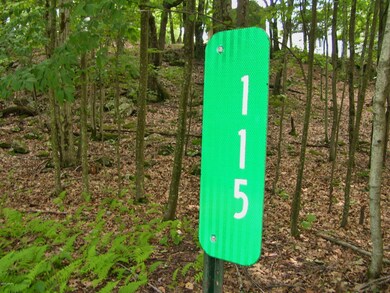 115 Heavenly Valley Dr, Tafton, PA 18464 - photo 2