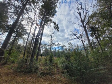 188 Private Road 8040, Kirbyville, TX 75956 - photo 4