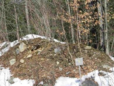 2 Mary Elizabeth Ln, Lancaster, NH 03584 - photo 2
