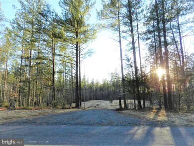 0 Eleys unit VACU2002268, Lignum, VA 22726 - photo 3