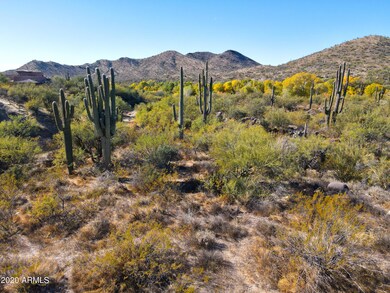Mountains of the Park
