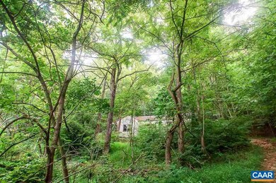 8024 Tabletop Mountain Rd, Dyke, VA 22935 - photo 7