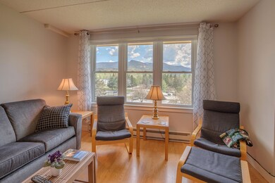 28 Packard Rd unit 523, Waterville Valley, NH 03215 - photo 3