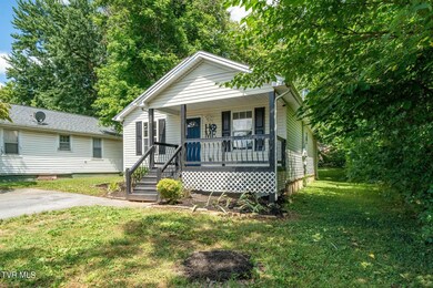 509 Pardee St, Johnson City, TN 37601 - photo 3